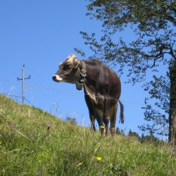IMG_0413.JPG