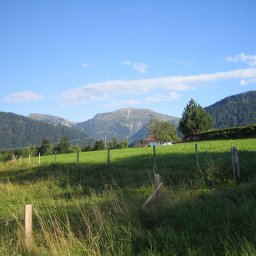 IMG_0503.JPG