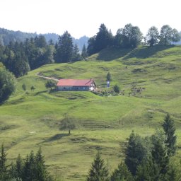IMG_0517.JPG