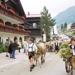 Almabtrieb