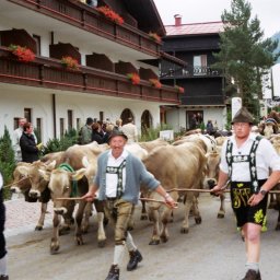 Almabtrieb