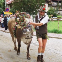 Almabtrieb