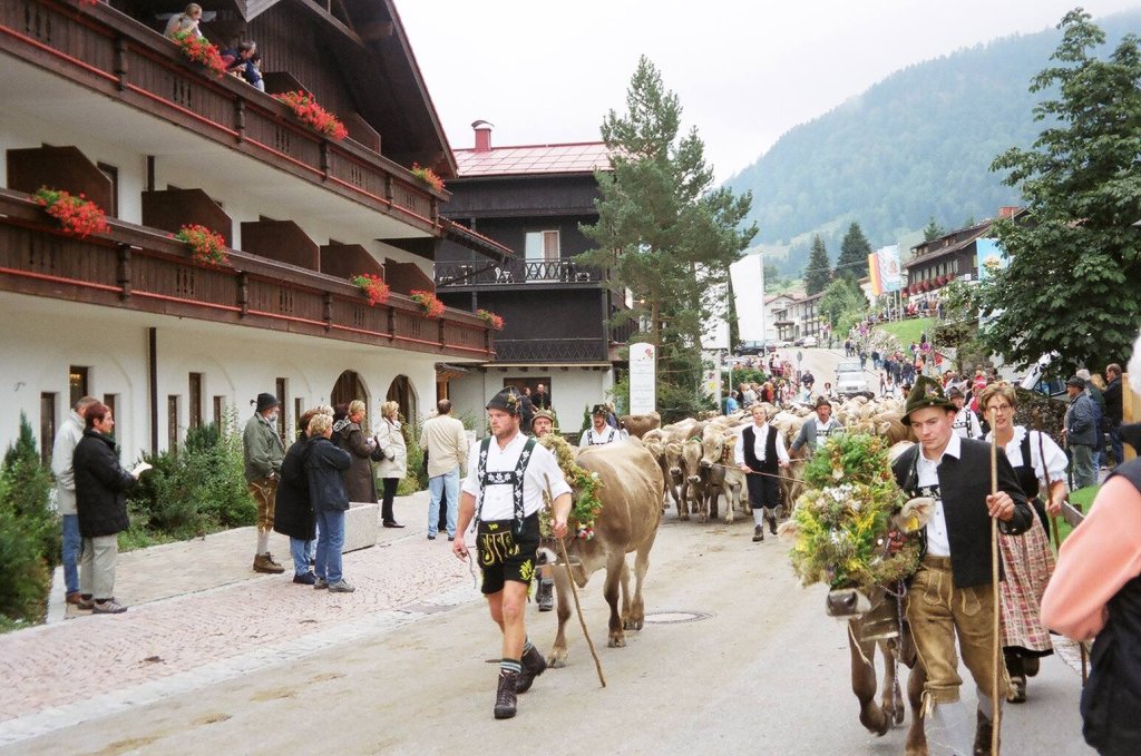 Almabtrieb