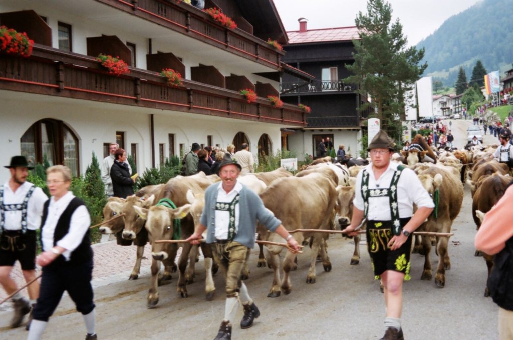 Almabtrieb