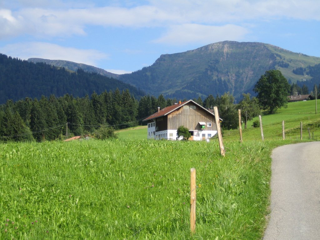 Blick zum Hochgrat