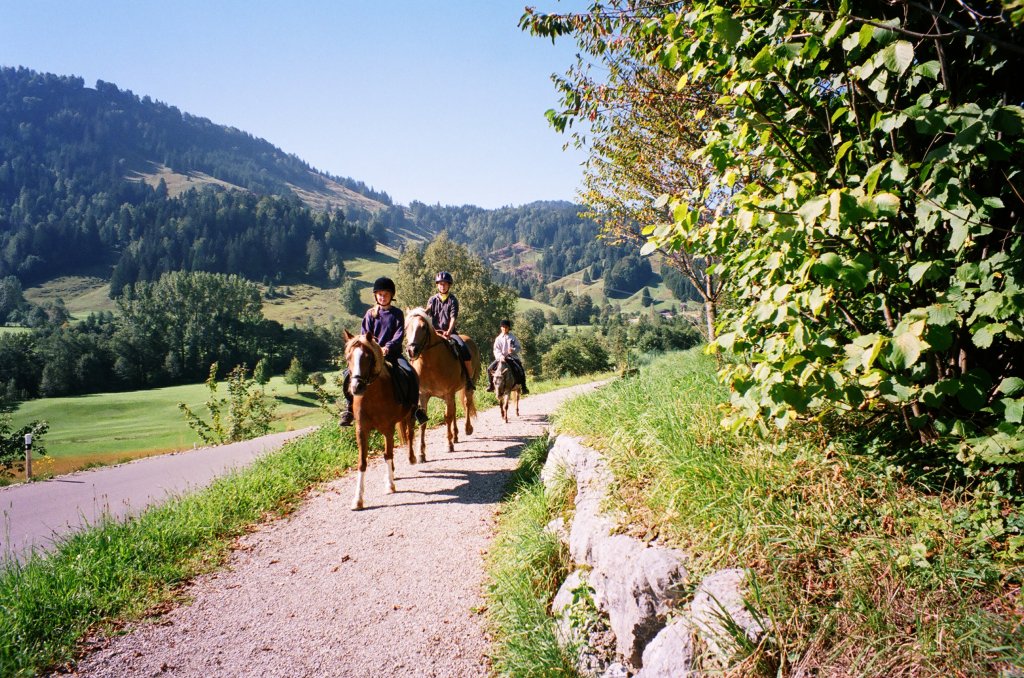 Reiten